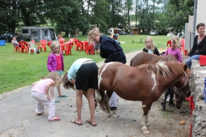 Kleine camping met dieren bij Domain des Lilas